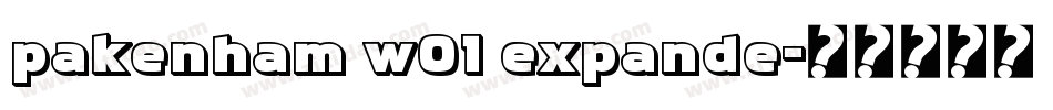 pakenham w01 expande字体转换